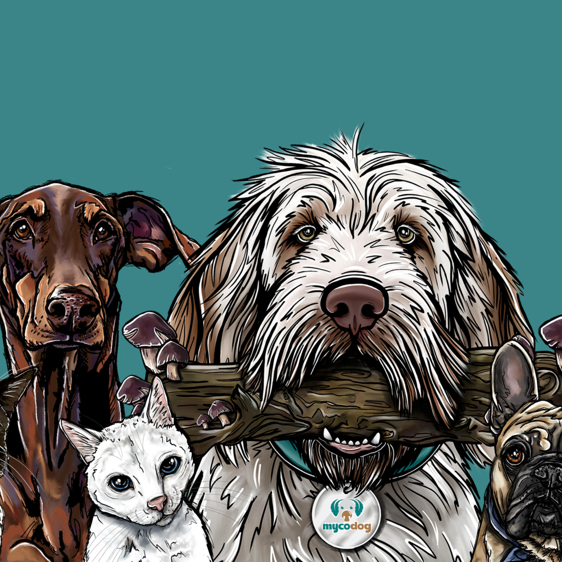 MycoDog.com Mushrooms For Dogs, Web Design and Development under Shopify